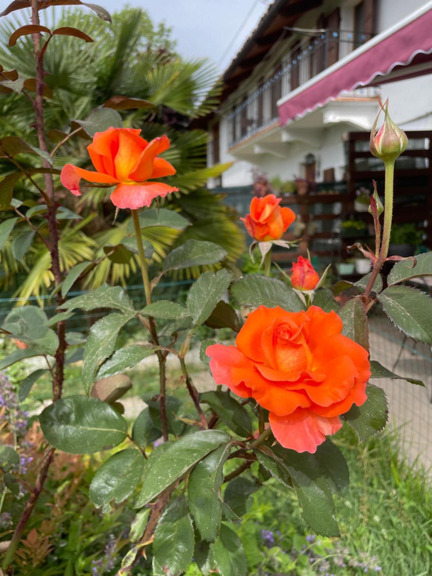 B&B Cascina Dei Levrieri Capriglio Экстерьер фото